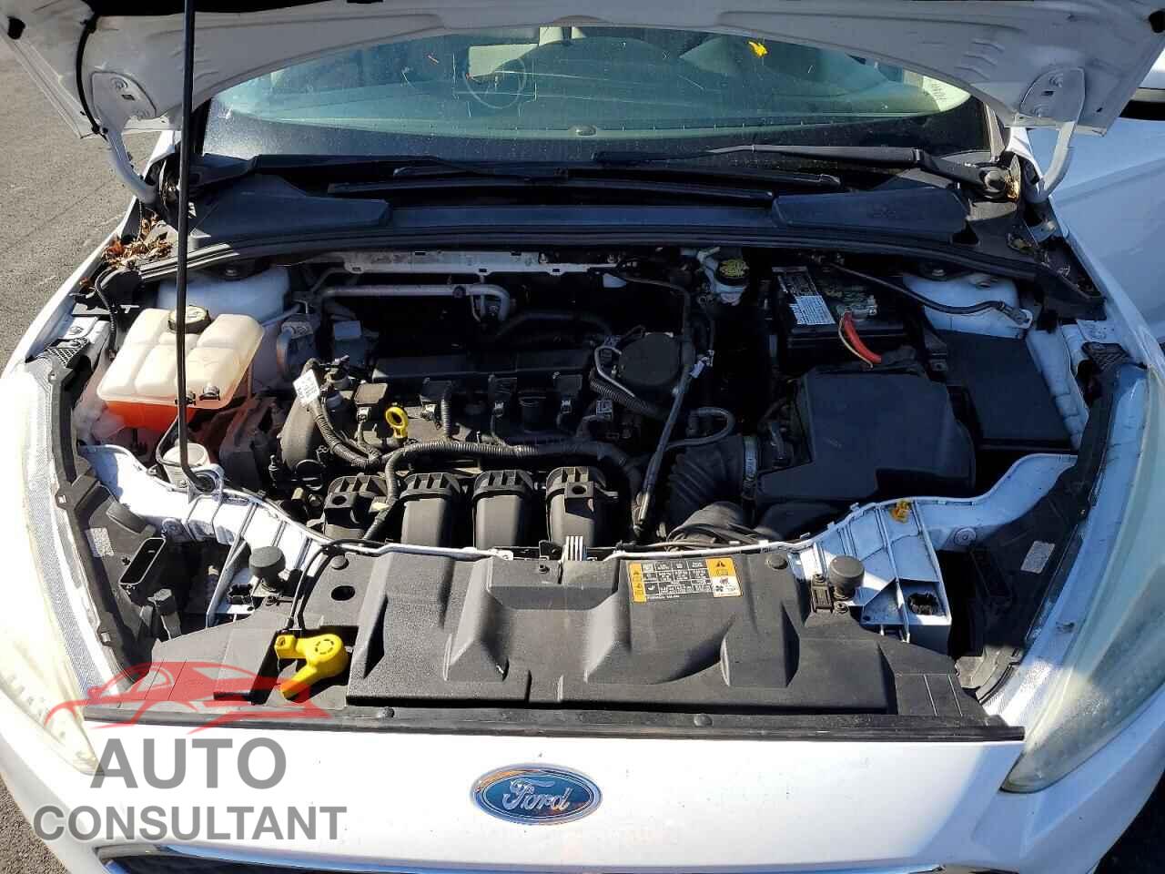 FORD FOCUS 2016 - 1FADP3F22GL233061