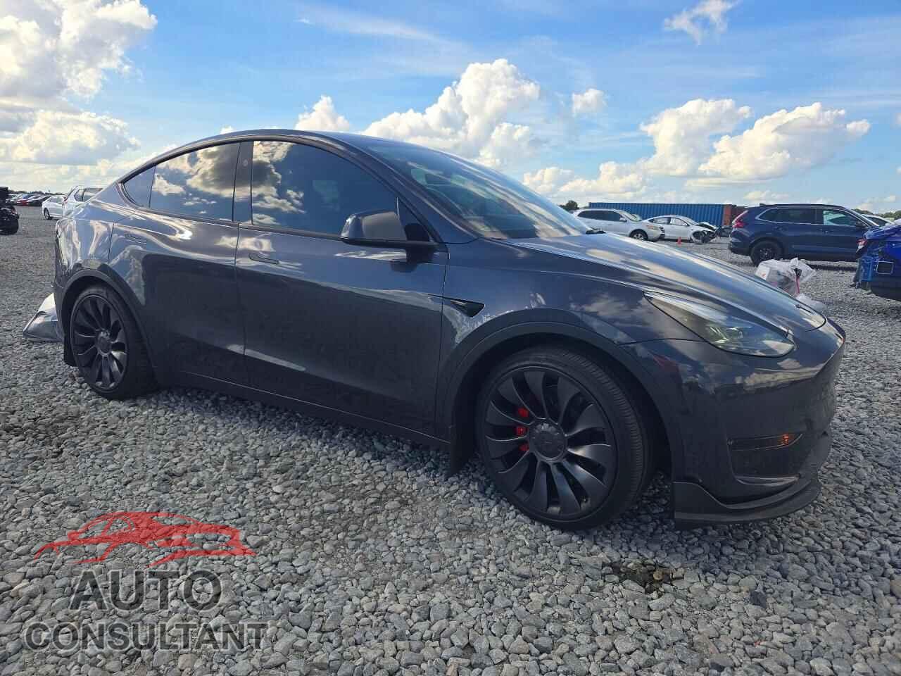 TESLA MODEL Y 2025 - 7SAYGDEF7SA372068