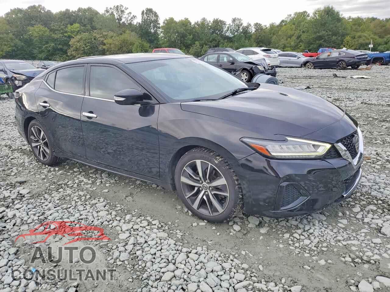 NISSAN MAXIMA 2019 - 1N4AA6AV5KC371385
