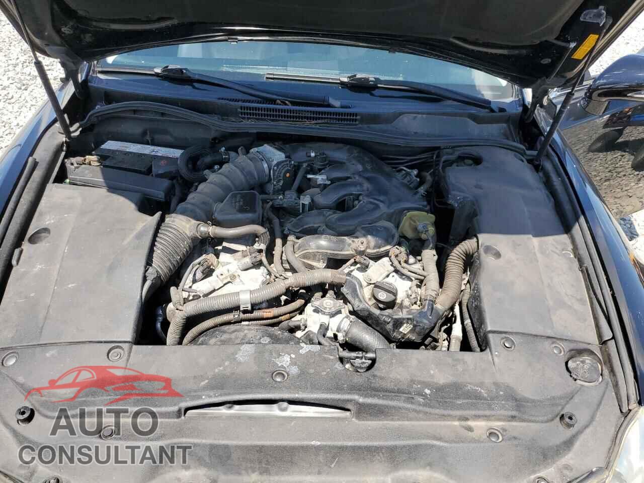 LEXUS IS 2009 - JTHCK262095029413