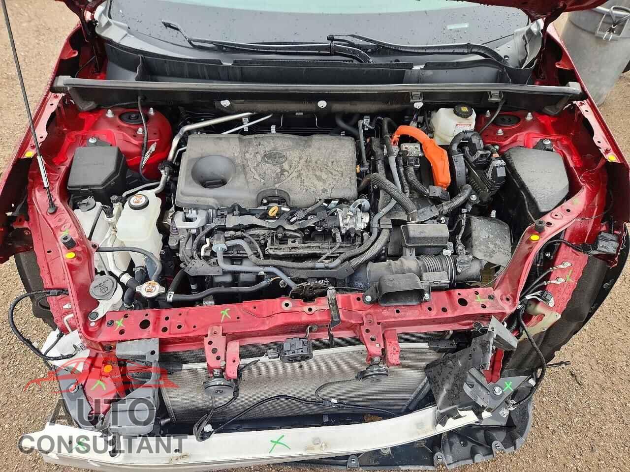 TOYOTA RAV4 2023 - 2T3DWRFV4PW155860