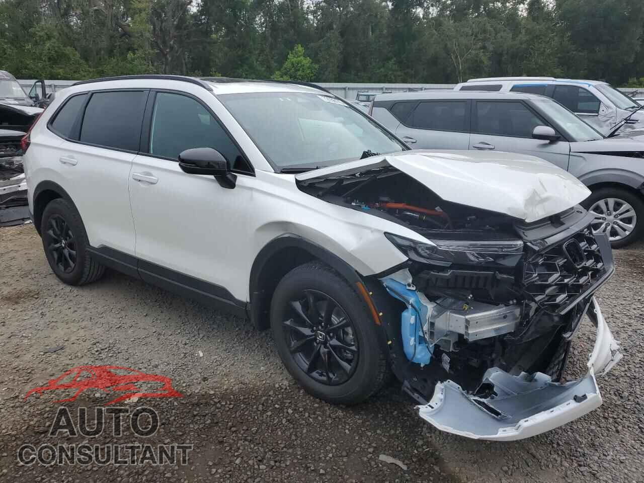 HONDA CRV 2026 - 7FARS6H82TE014166