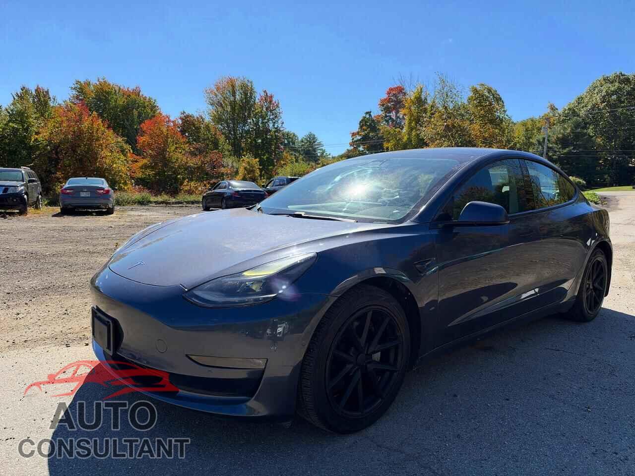 TESLA MODEL 3 2021 - 5YJ3E1EB3MF902504