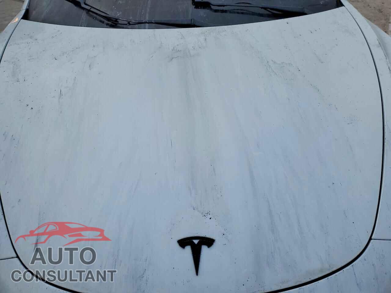 TESLA MODEL 3 2019 - 5YJ3E1EA7KF416010