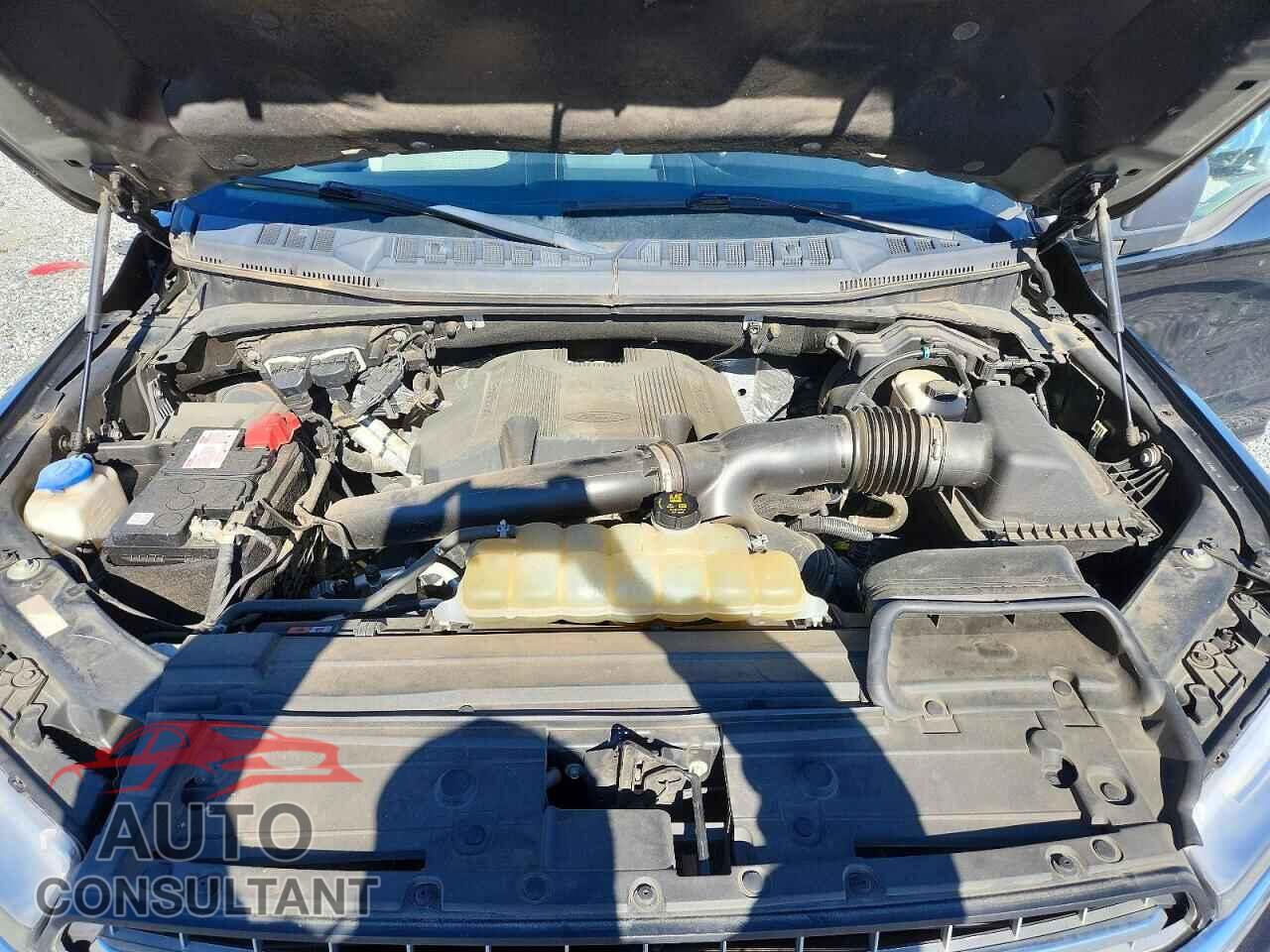 FORD F-150 2019 - 1FTEW1E44KFC95576