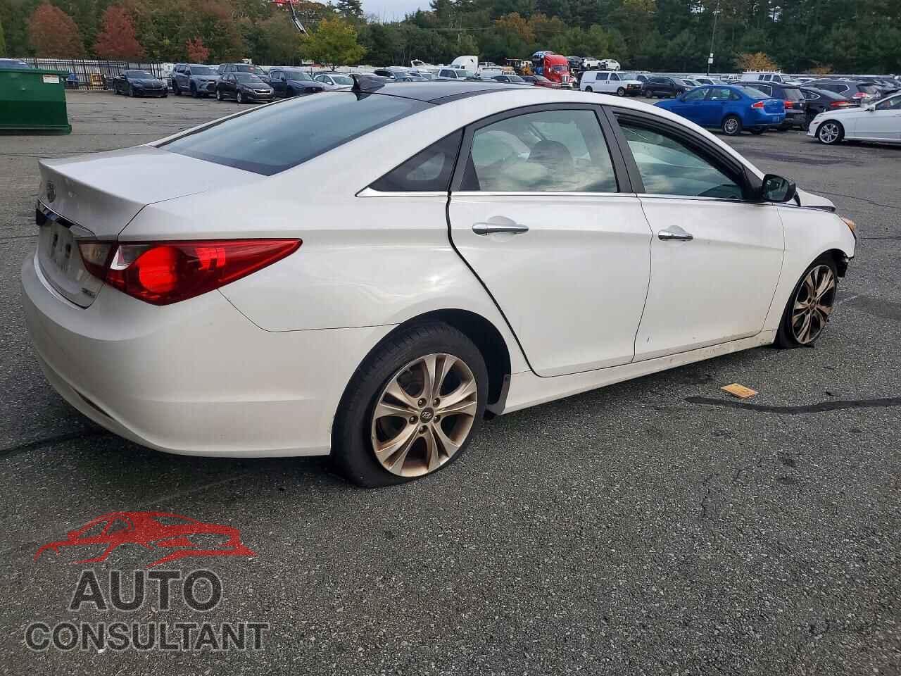 HYUNDAI SONATA 2013 - 5NPEC4AC2DH596475