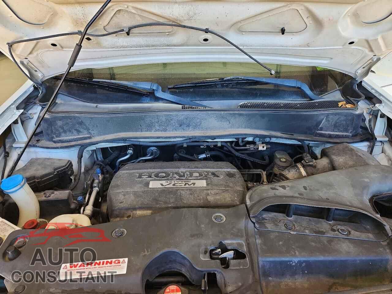 HONDA PILOT 2009 - 5FNYF48959B010209