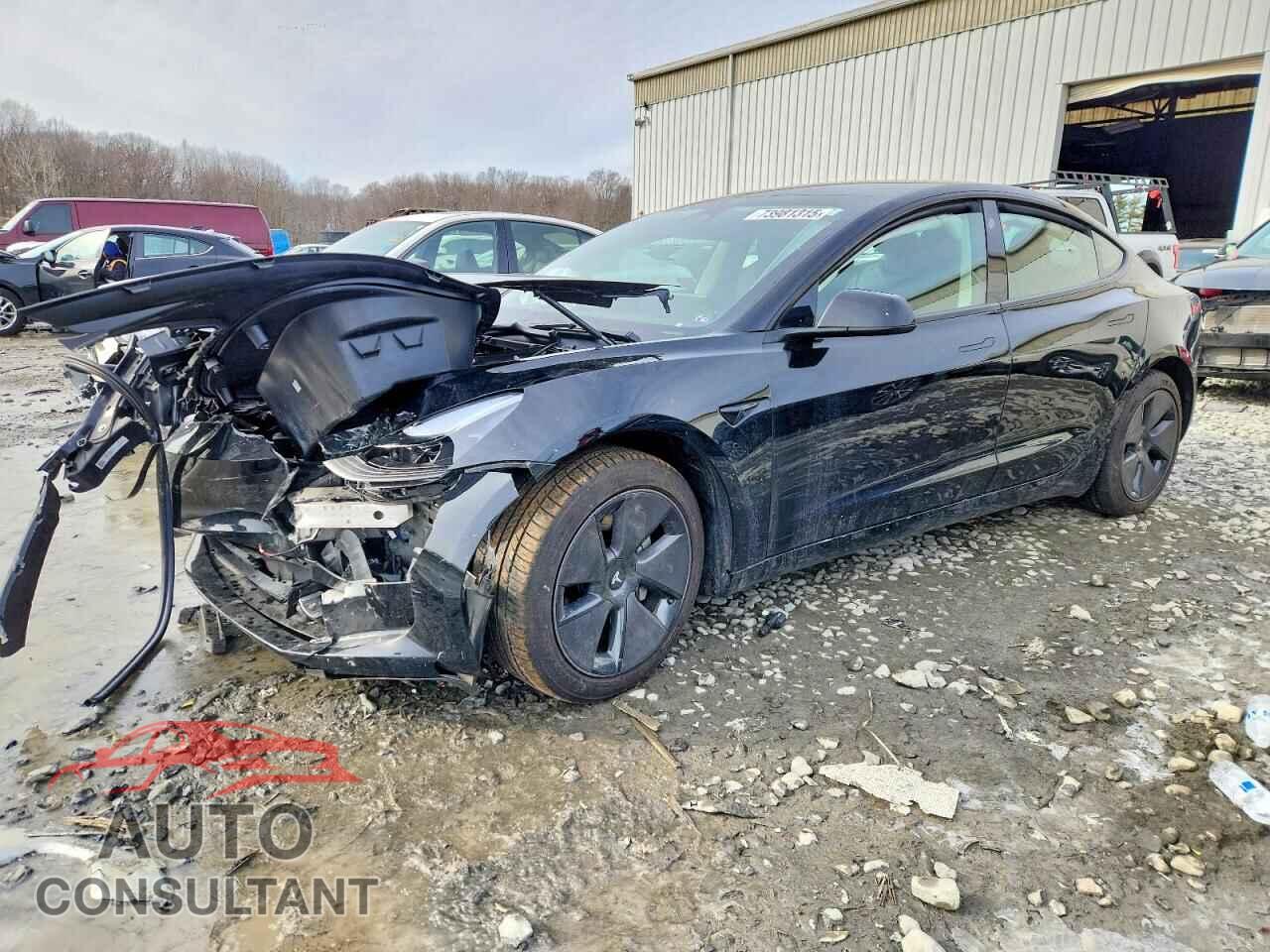 TESLA MODEL 3 2023 - 5YJ3E1EA3PF625560