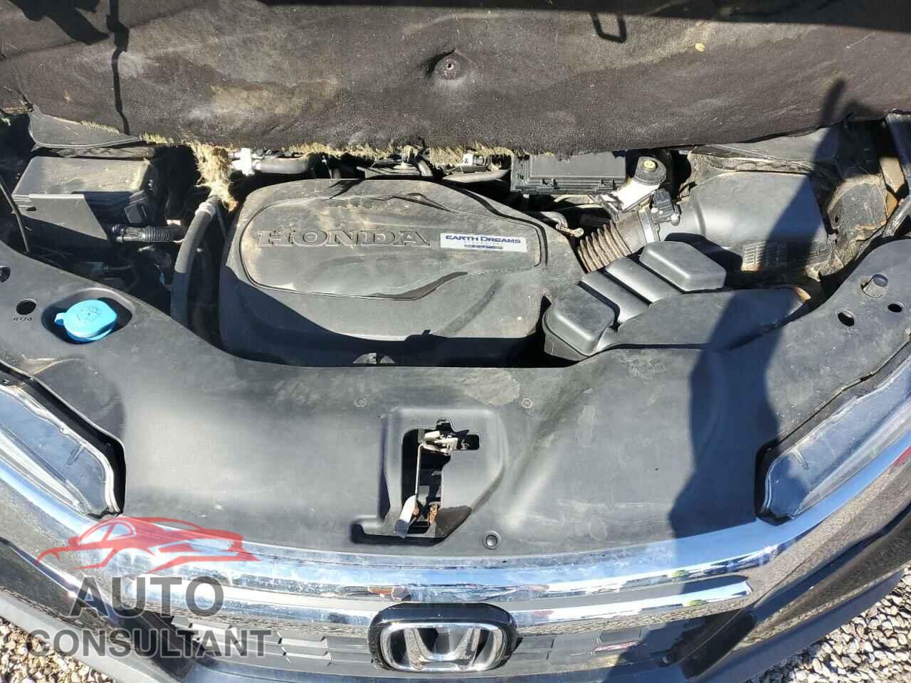 HONDA RIDGELINE 2019 - 5FPYK3F12KB044401