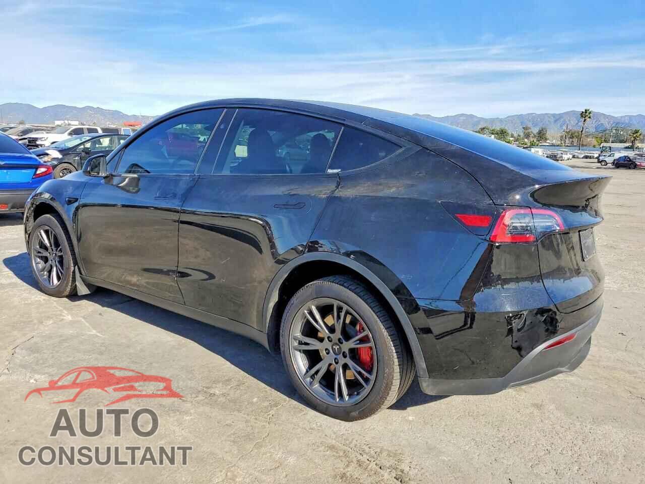 TESLA MODEL Y 2025 - 7SAYGDED7SF226674