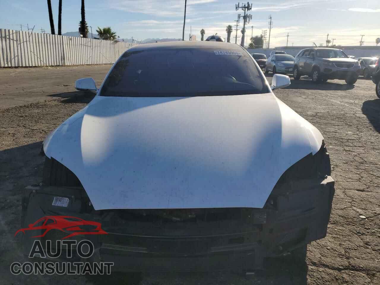 TESLA MODEL S 2019 - 5YJSA1E2XKF339181