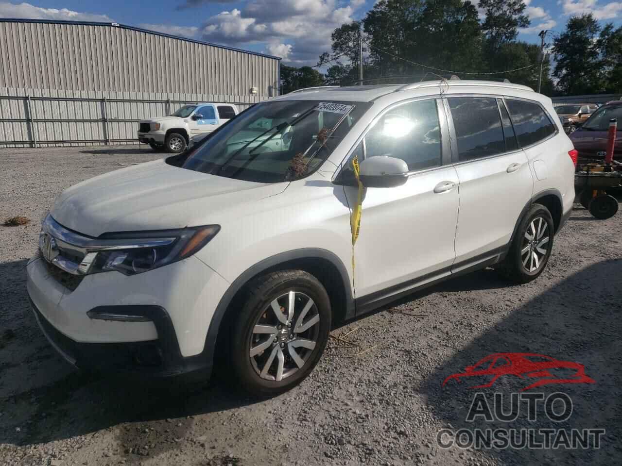 HONDA PILOT 2019 - 5FNYF6H53KB019411