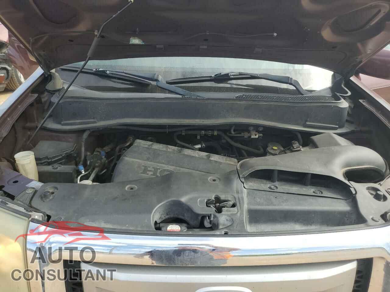 HONDA PILOT 2010 - 5FNYF3H6XAB014342