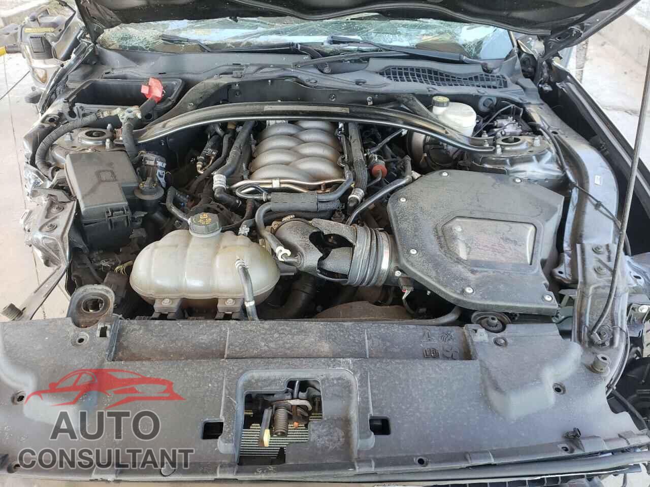 FORD MUSTANG 2019 - 1FA6P8CF4K5204817