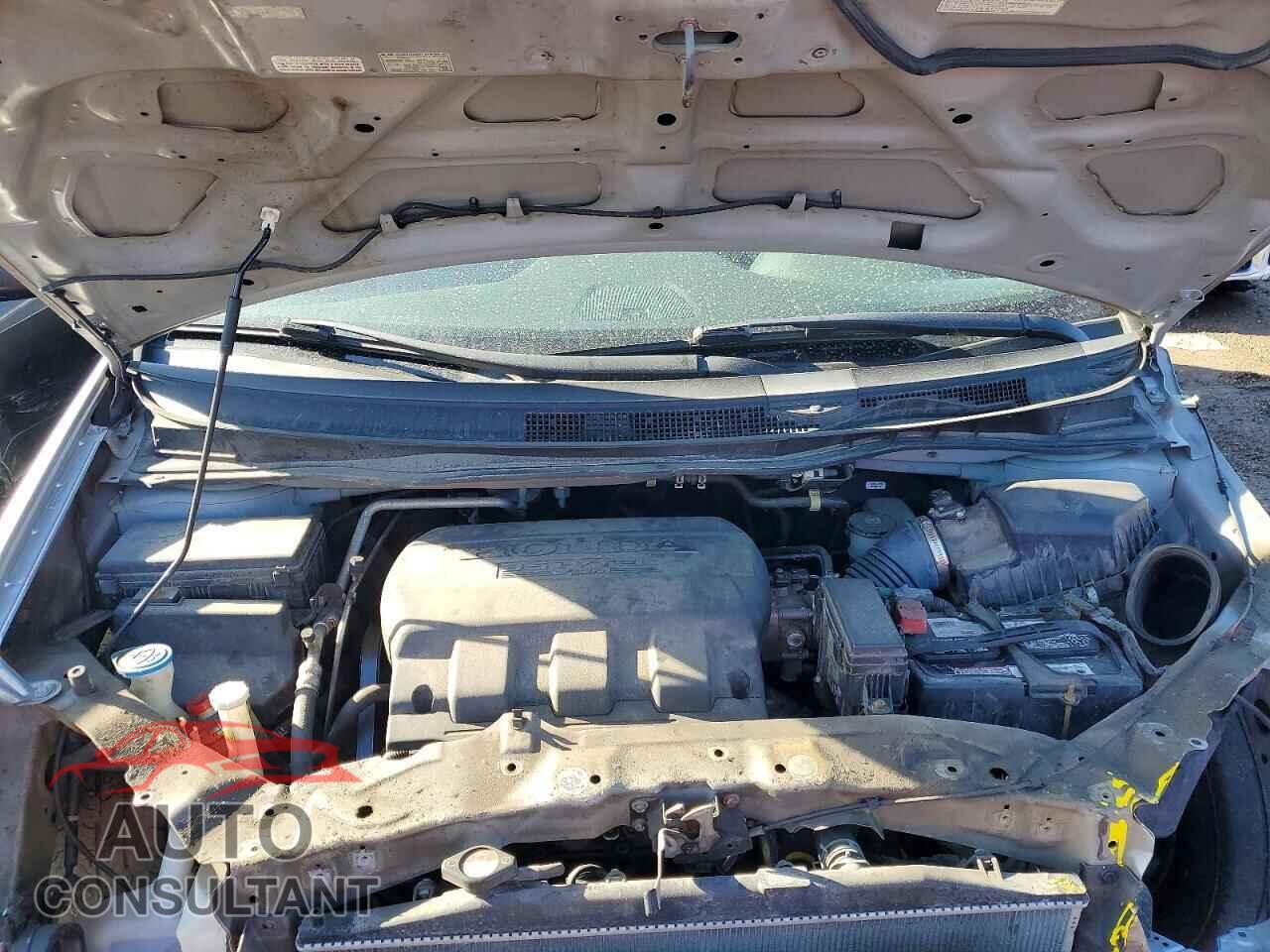 HONDA All Models 2011 - 5FNRL5H64BB012791