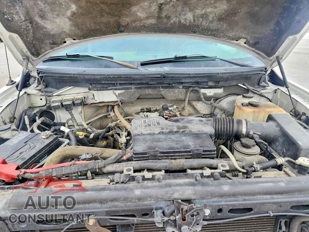 FORD All Models 2010 - 1FTMF1CW7AKE72031
