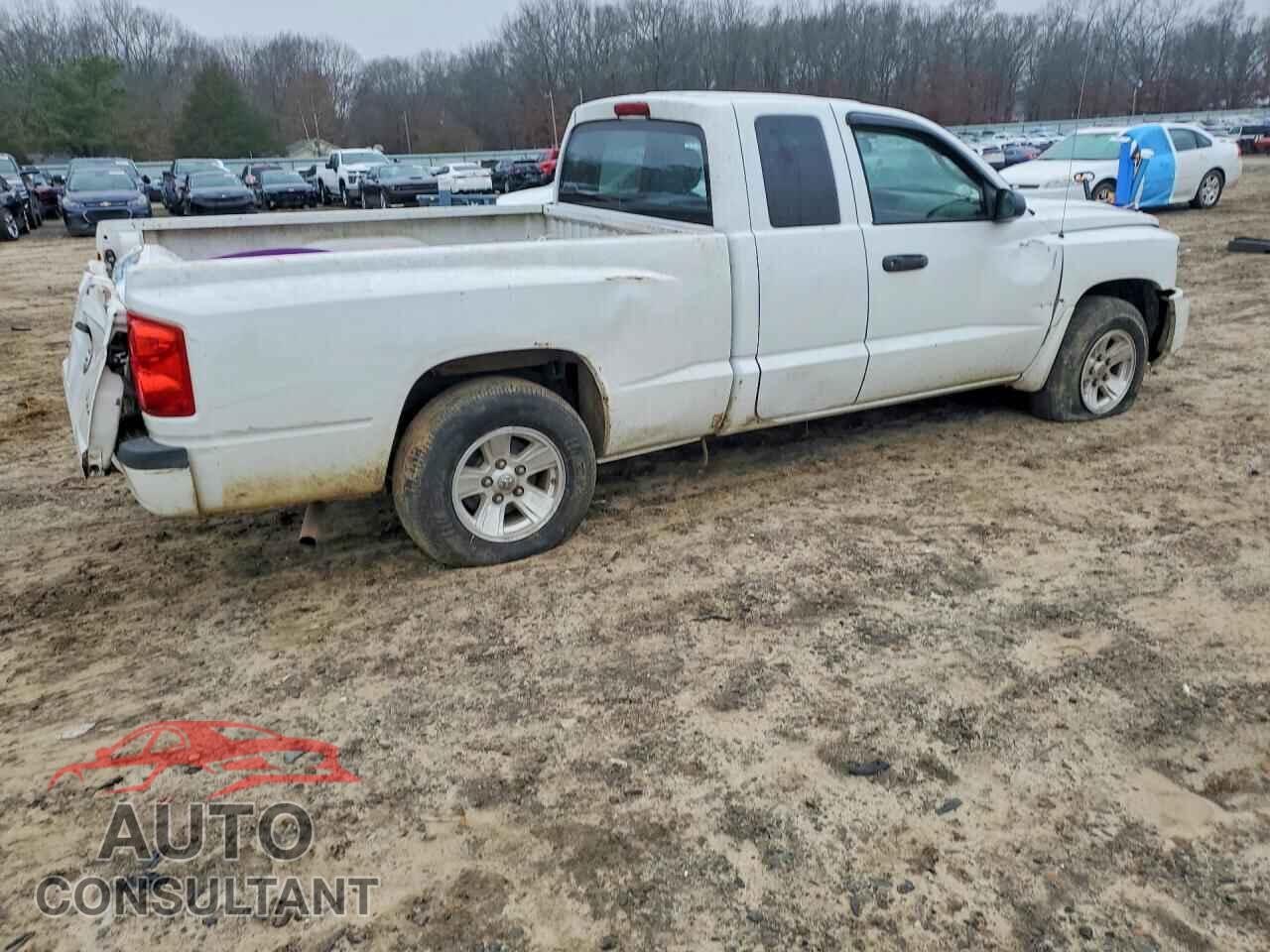 DODGE DAKOTA 2011 - 1D7RE2BK7BS656065