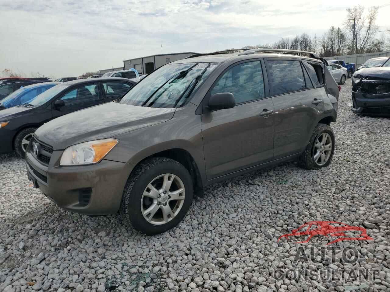 TOYOTA RAV4 2011 - 2T3BF4DV8BW163014