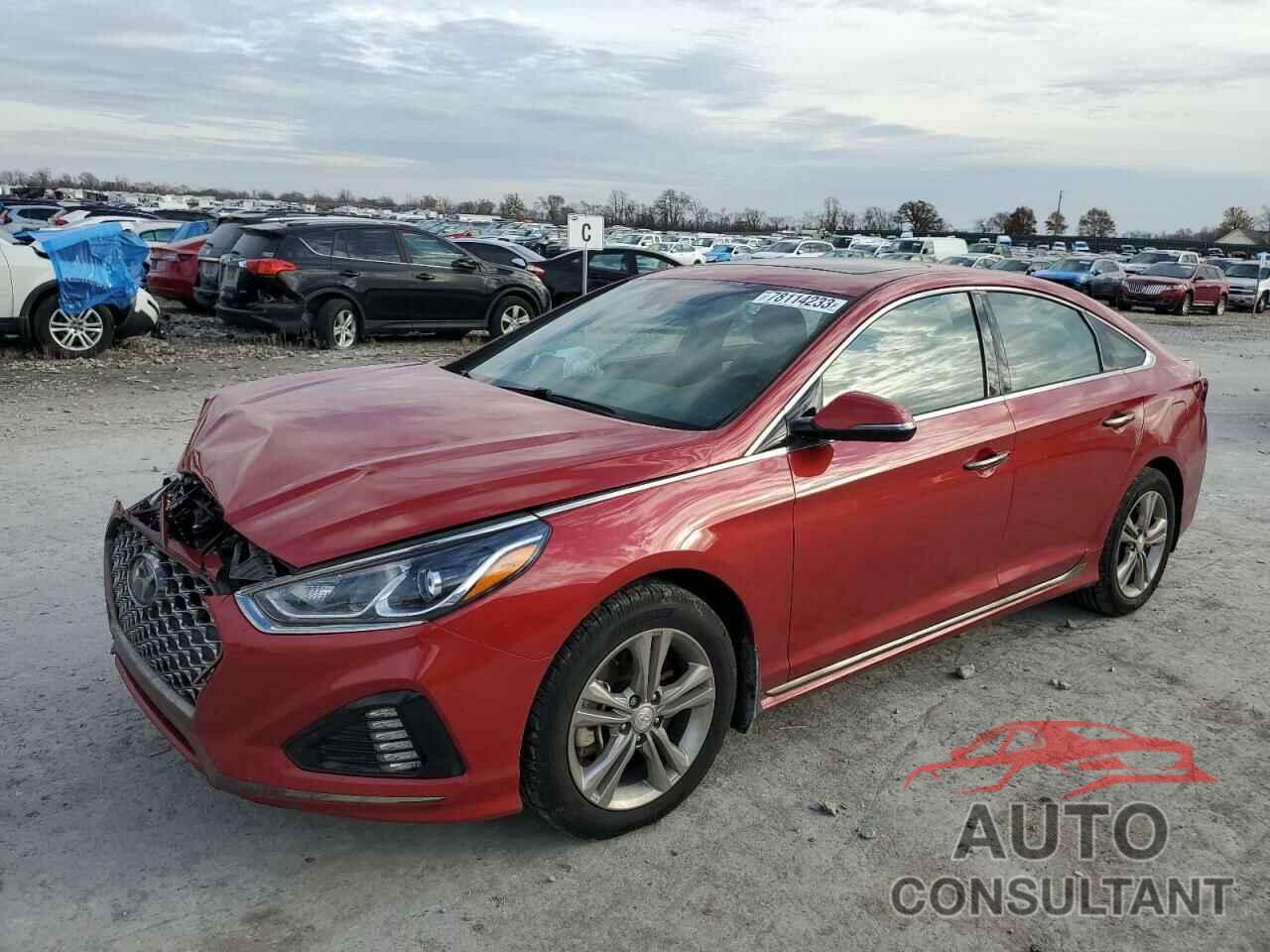 HYUNDAI SONATA 2019 - 5NPE34AF2KH814258