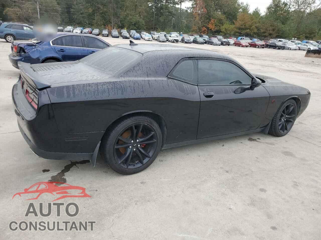 DODGE CHALLENGER 2017 - 2C3CDZAG2HH665950