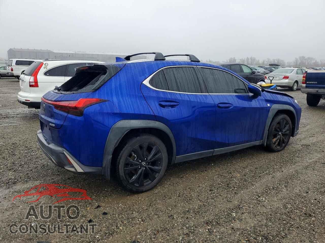 LEXUS ALL OTHER 2019 - JTHY3JBH8K2017377