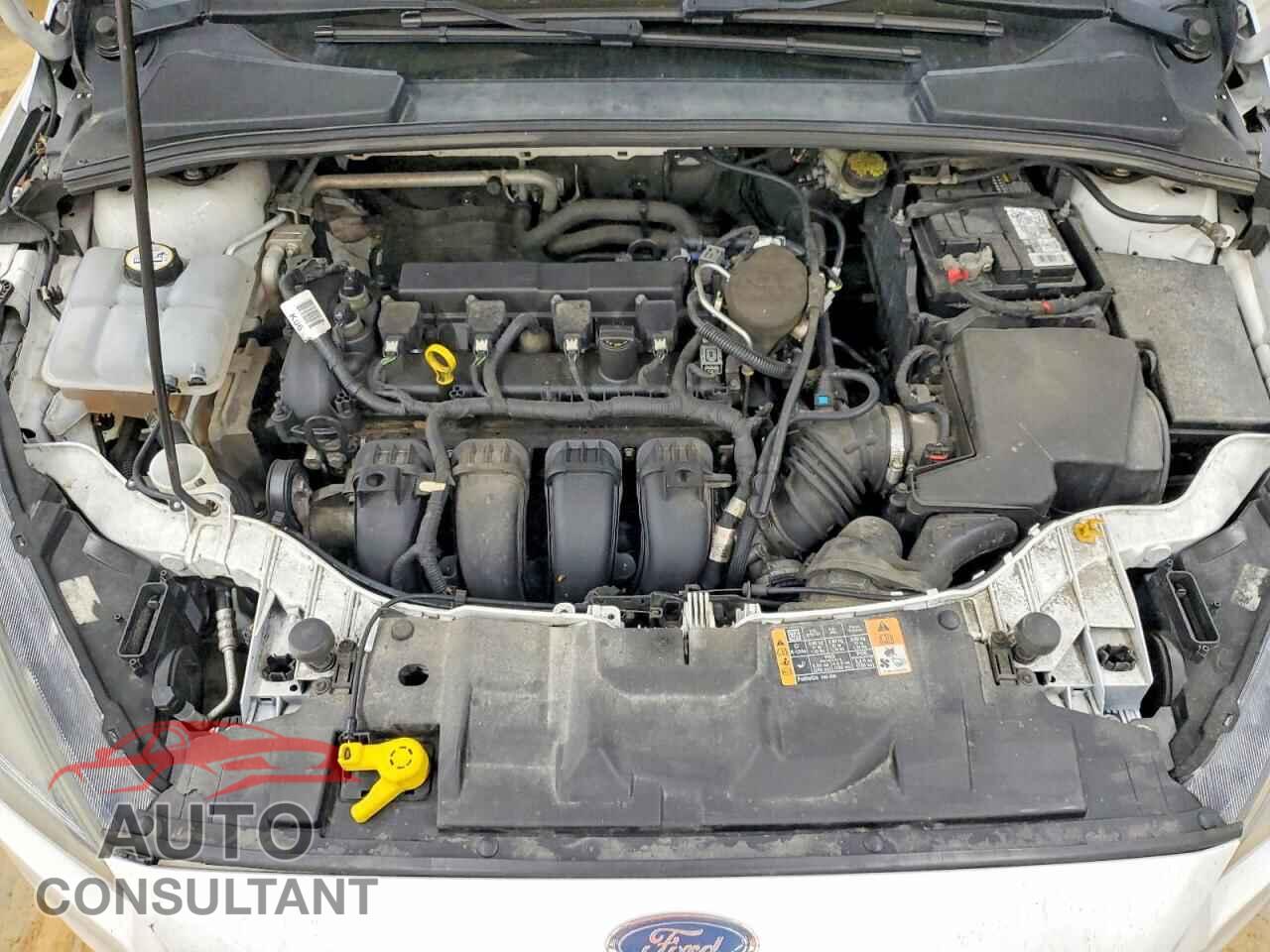 FORD FOCUS 2016 - 1FADP3F21GL309563