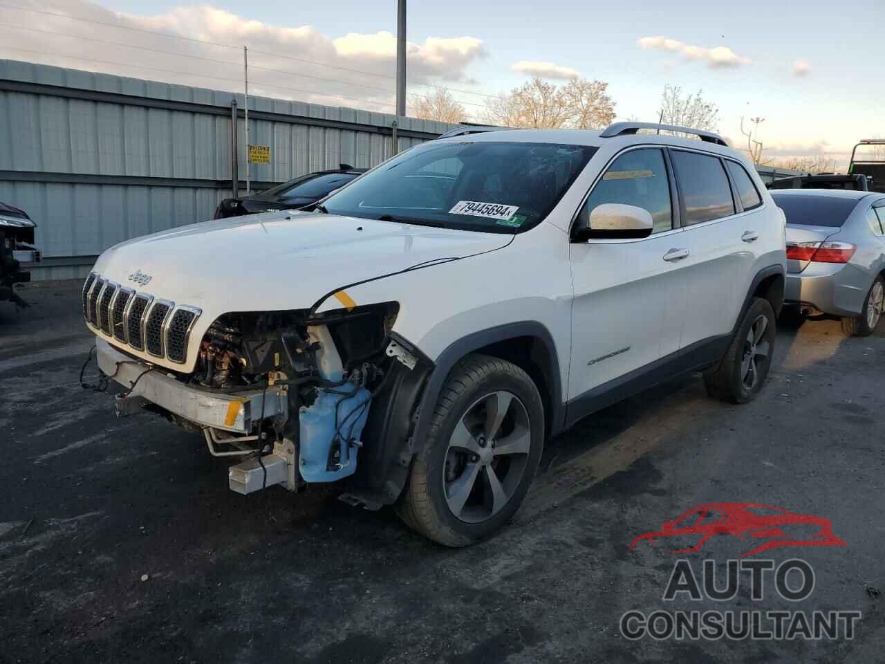 JEEP GRAND CHER 2019 - 1C4PJMDX7KD161791