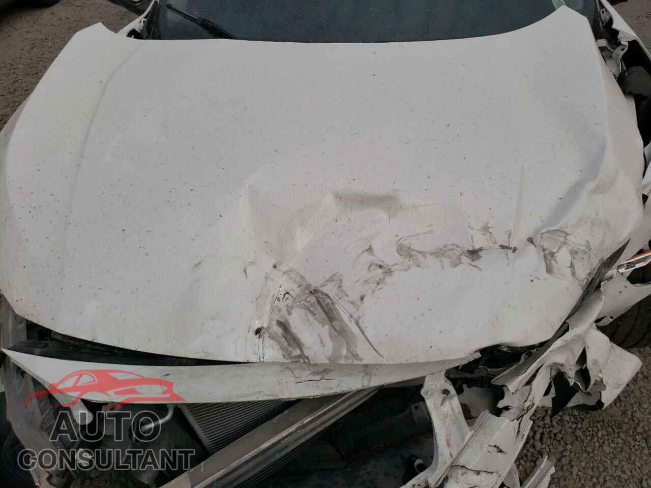 HONDA CIVIC 2017 - 19XFC2F73HE064912