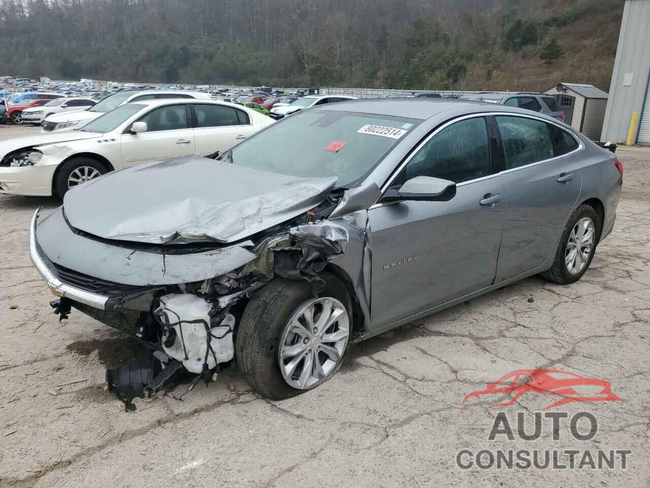 CHEVROLET MALIBU 2024 - 1G1ZD5ST3RF113847