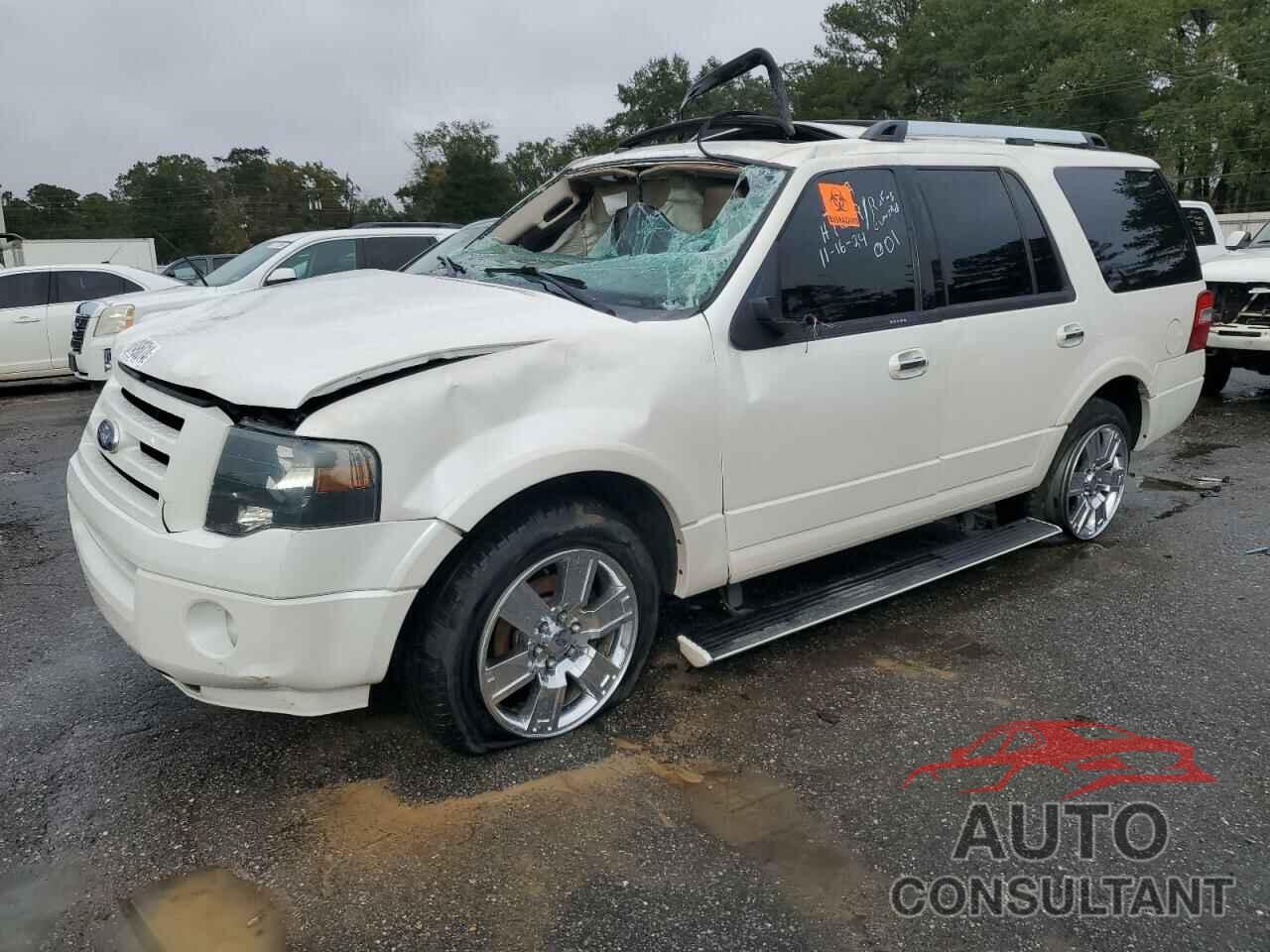 FORD EXPEDITION 2010 - 1FMJU1K56AEB46586