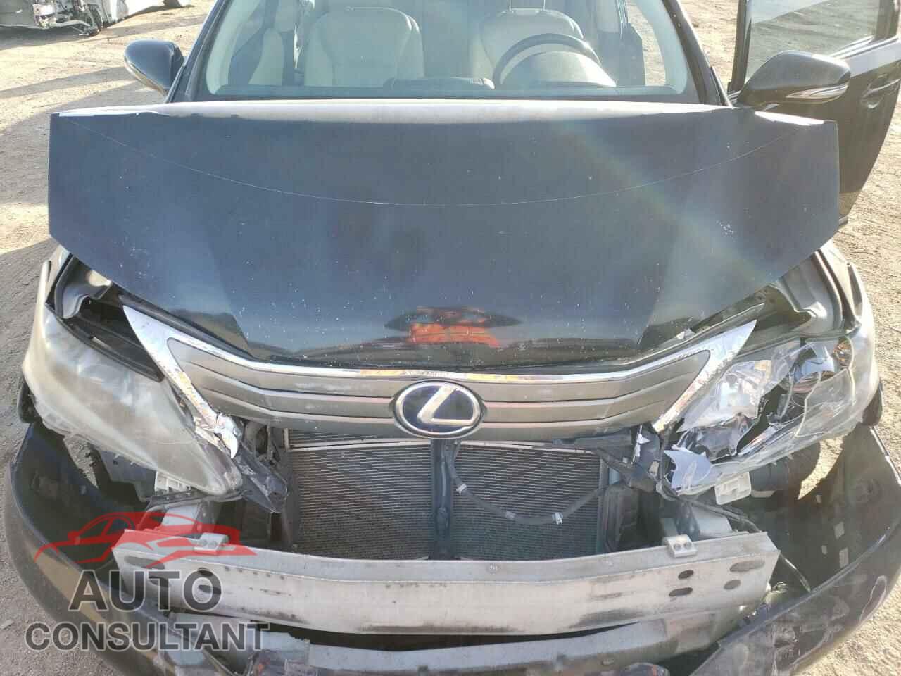 LEXUS HS 2010 - JTHBB1BA1A2023807