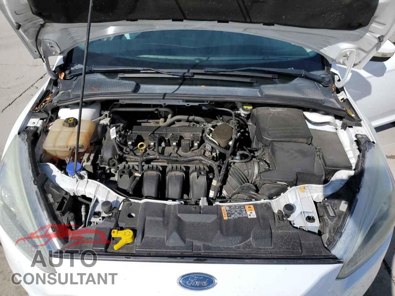 FORD FOCUS 2016 - 1FADP3F24GL290751