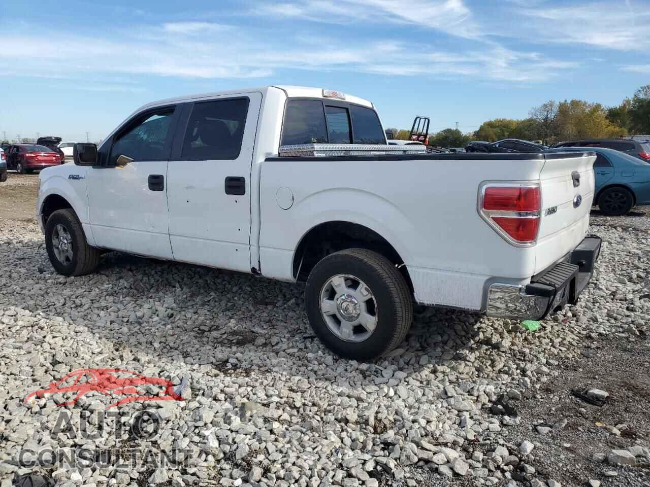 FORD F-150 2011 - 1FTEW1CM1BFA58885