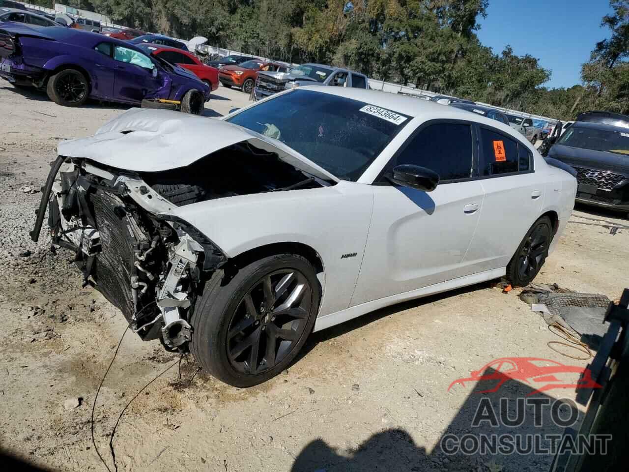 DODGE CHARGER 2019 - 2C3CDXCT6KH570216