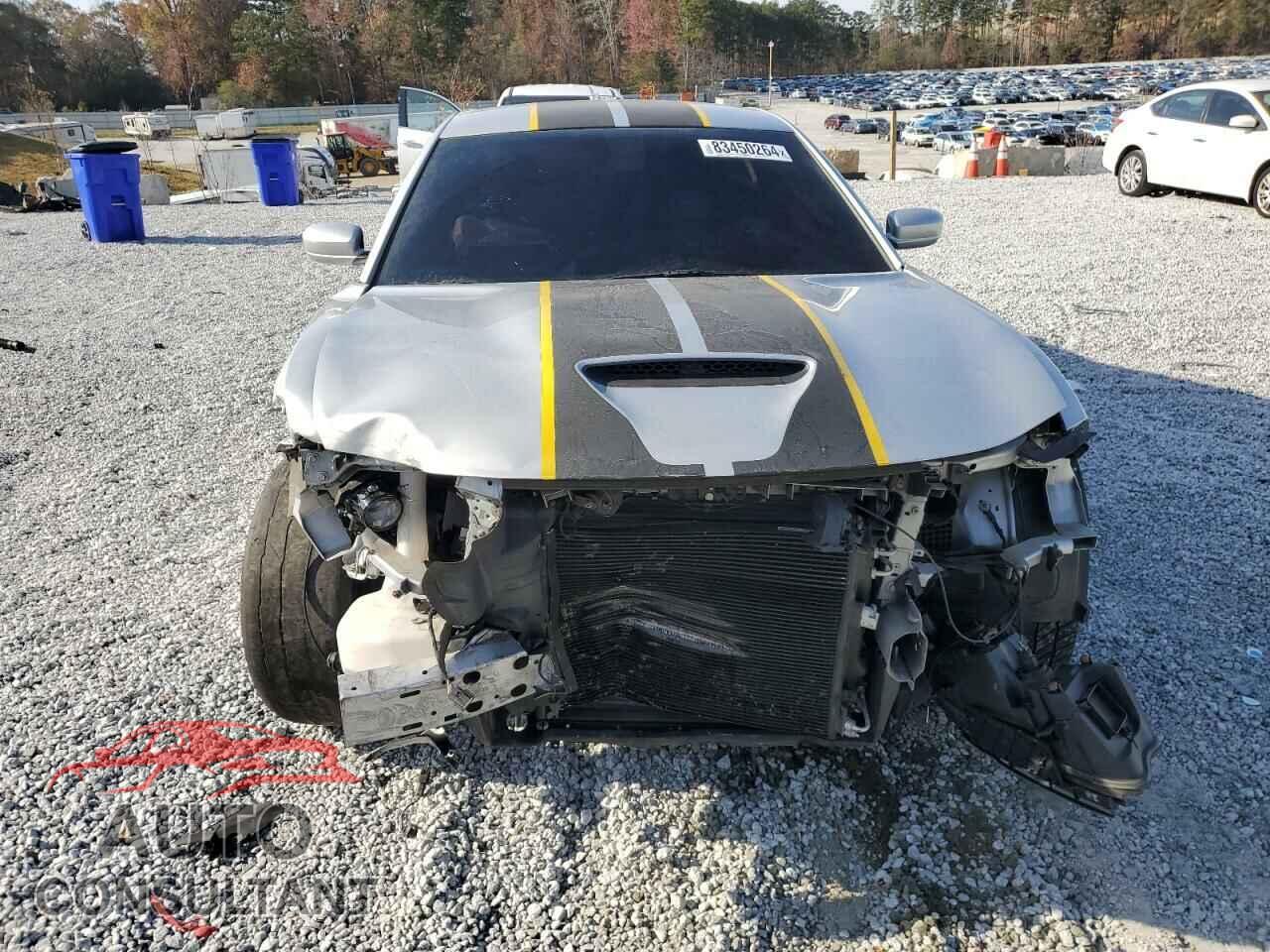 DODGE CHARGER 2019 - 2C3CDXCT0KH730073