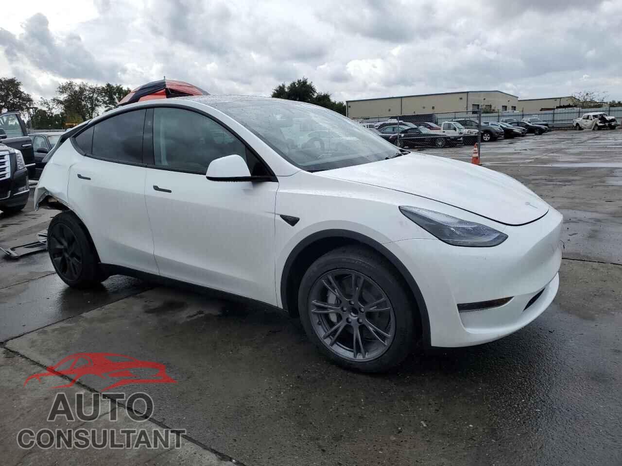 TESLA MODEL Y 2024 - 7SAYGDED7RF184503
