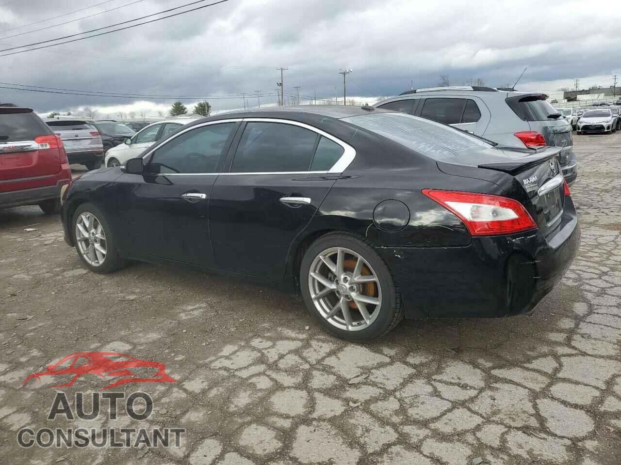 NISSAN MAXIMA 2011 - 1N4AA5AP2BC808237