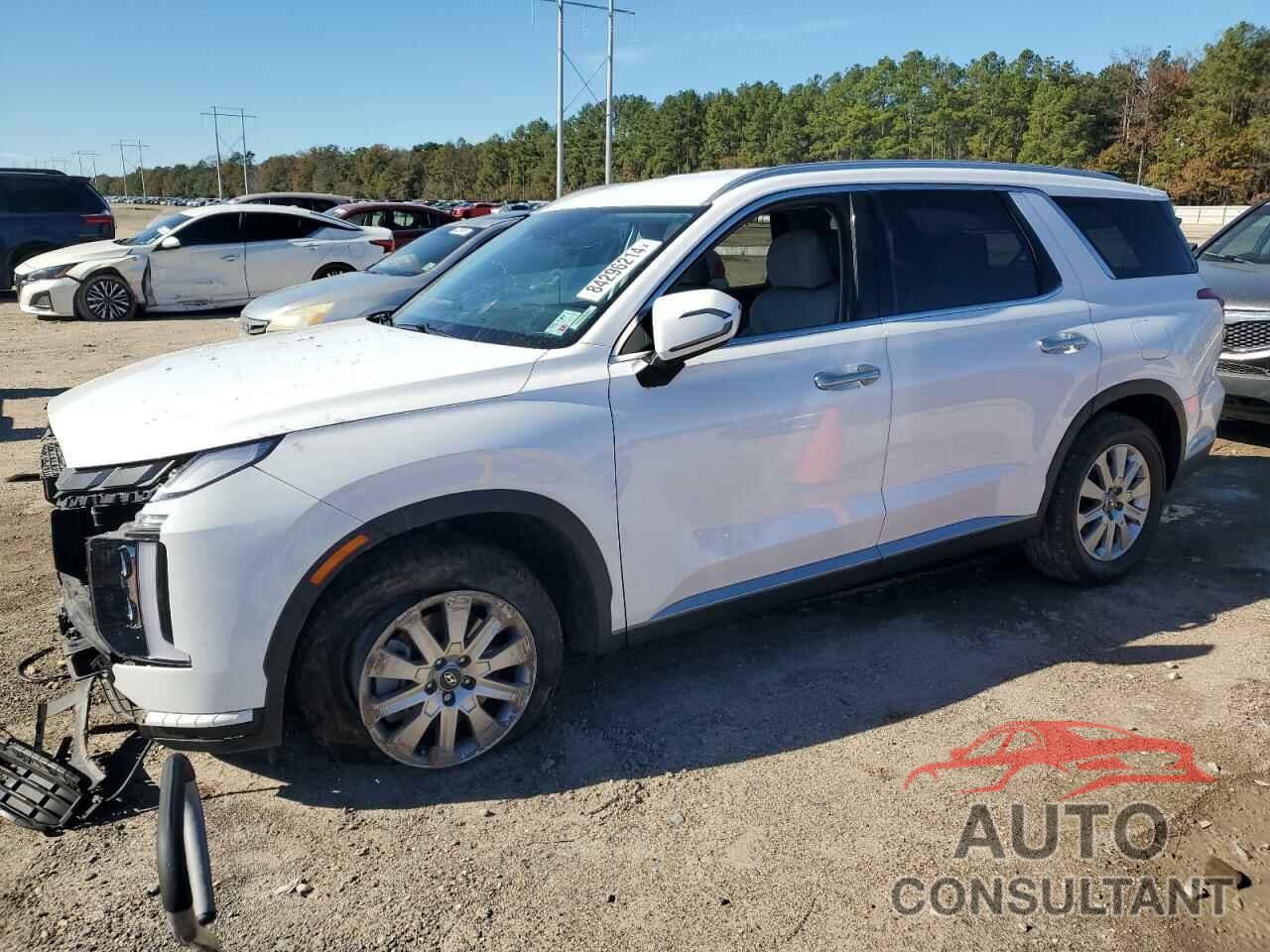 HYUNDAI PALISADE 2023 - KM8R24GE6PU596367