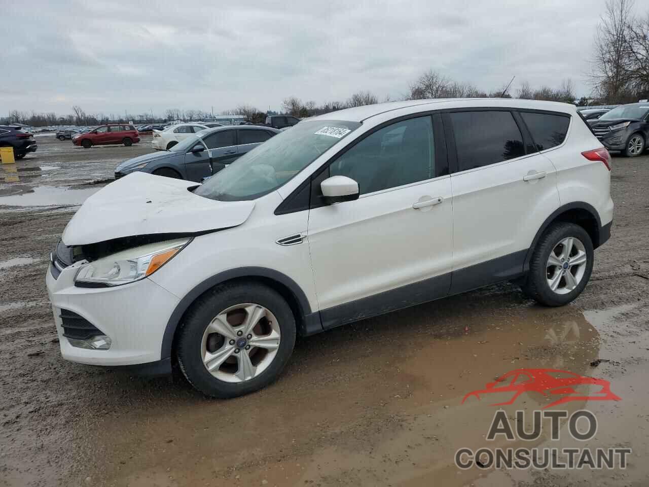 FORD ESCAPE 2014 - 1FMCU0GXXEUA48671
