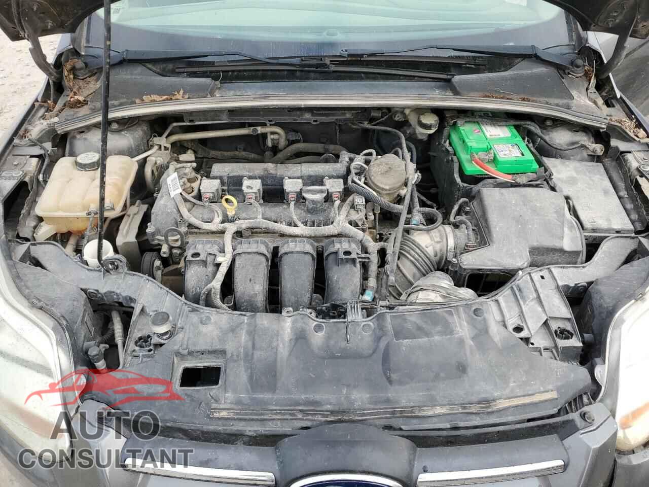 FORD FOCUS 2013 - 1FADP3F26DL324751
