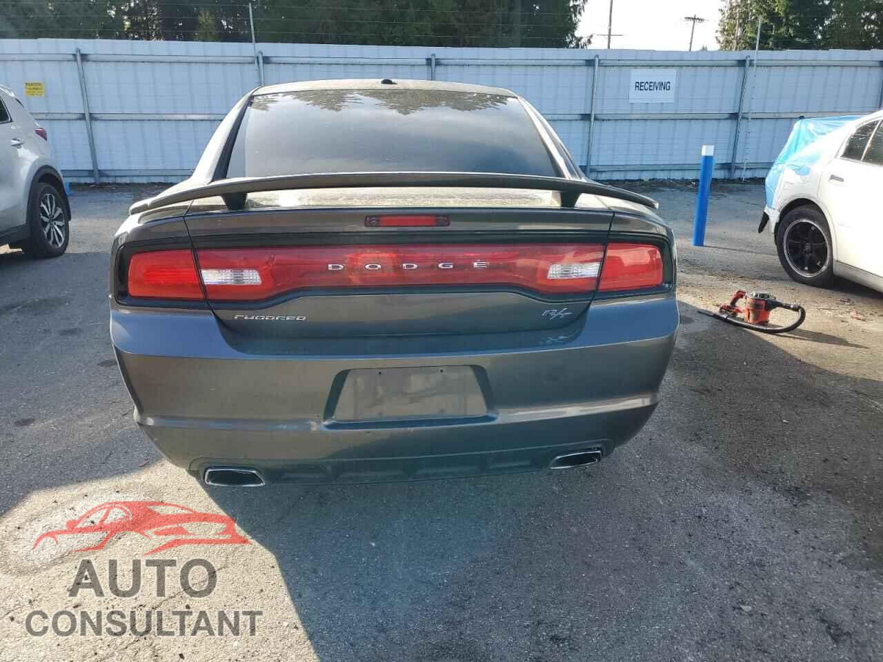 DODGE CHARGER 2013 - 2C3CDXCT2DH675631
