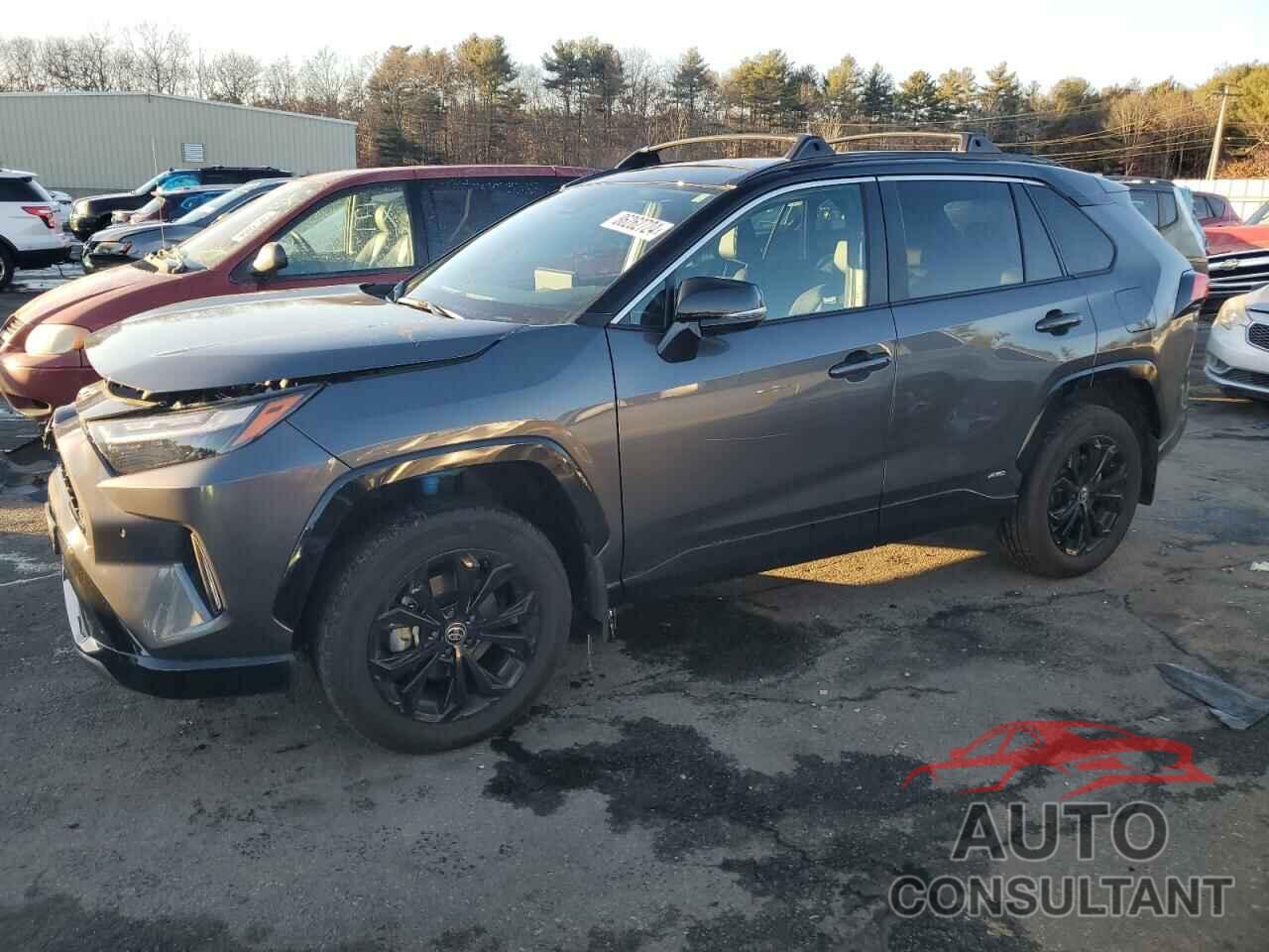 TOYOTA RAV4 2024 - 4T3E6RFV1RU146041