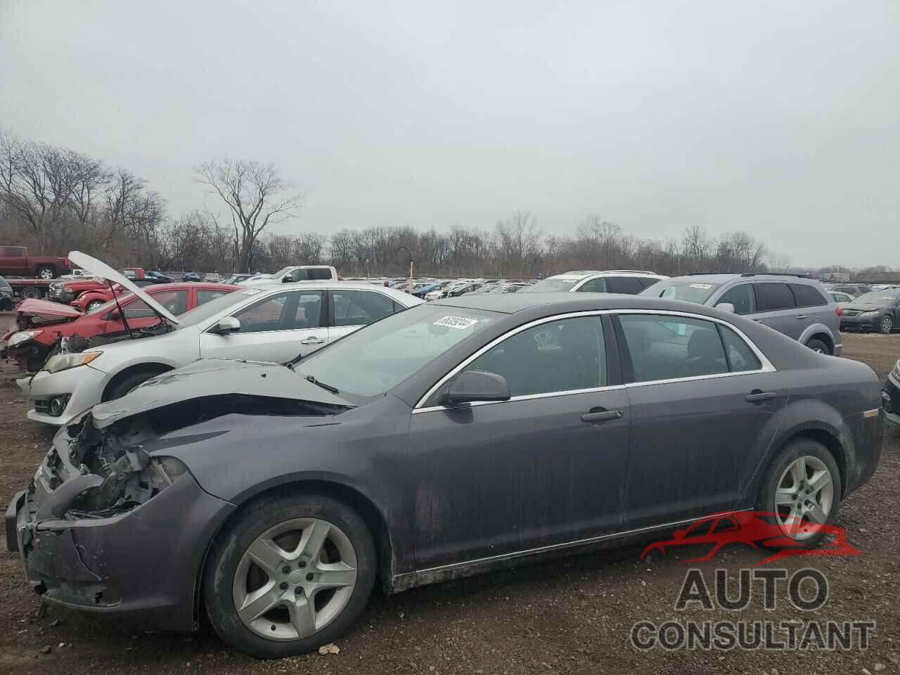 CHEVROLET MALIBU 2010 - 1G1ZC5EB3AF293101