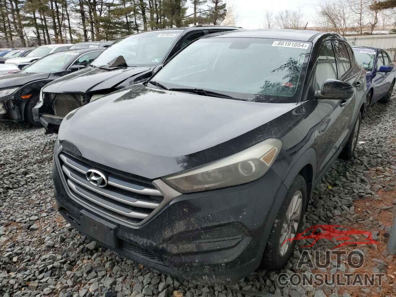 HYUNDAI TUCSON 2017 - KM8J23A44HU299378