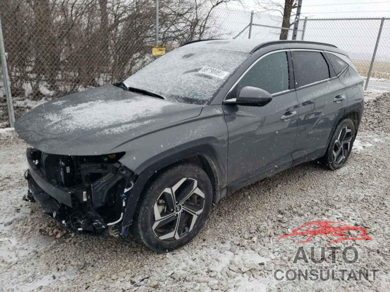 HYUNDAI TUCSON 2024 - 5NMJB3DEXRH423302