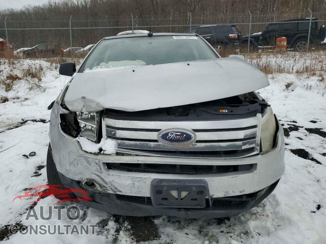 FORD EDGE 2009 - 2FMDK48C09BA82854