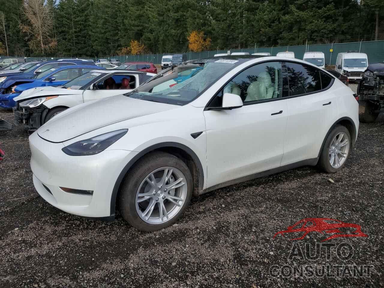 TESLA MODEL Y 2024 - 7SAYGDEE7RF985618