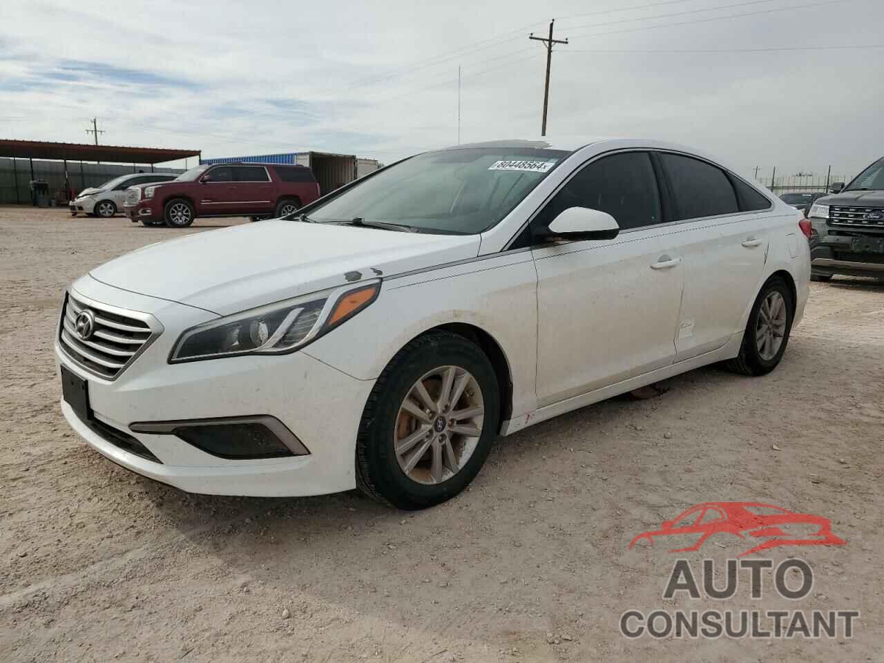 HYUNDAI SONATA 2017 - 5NPE24AF5HH553204