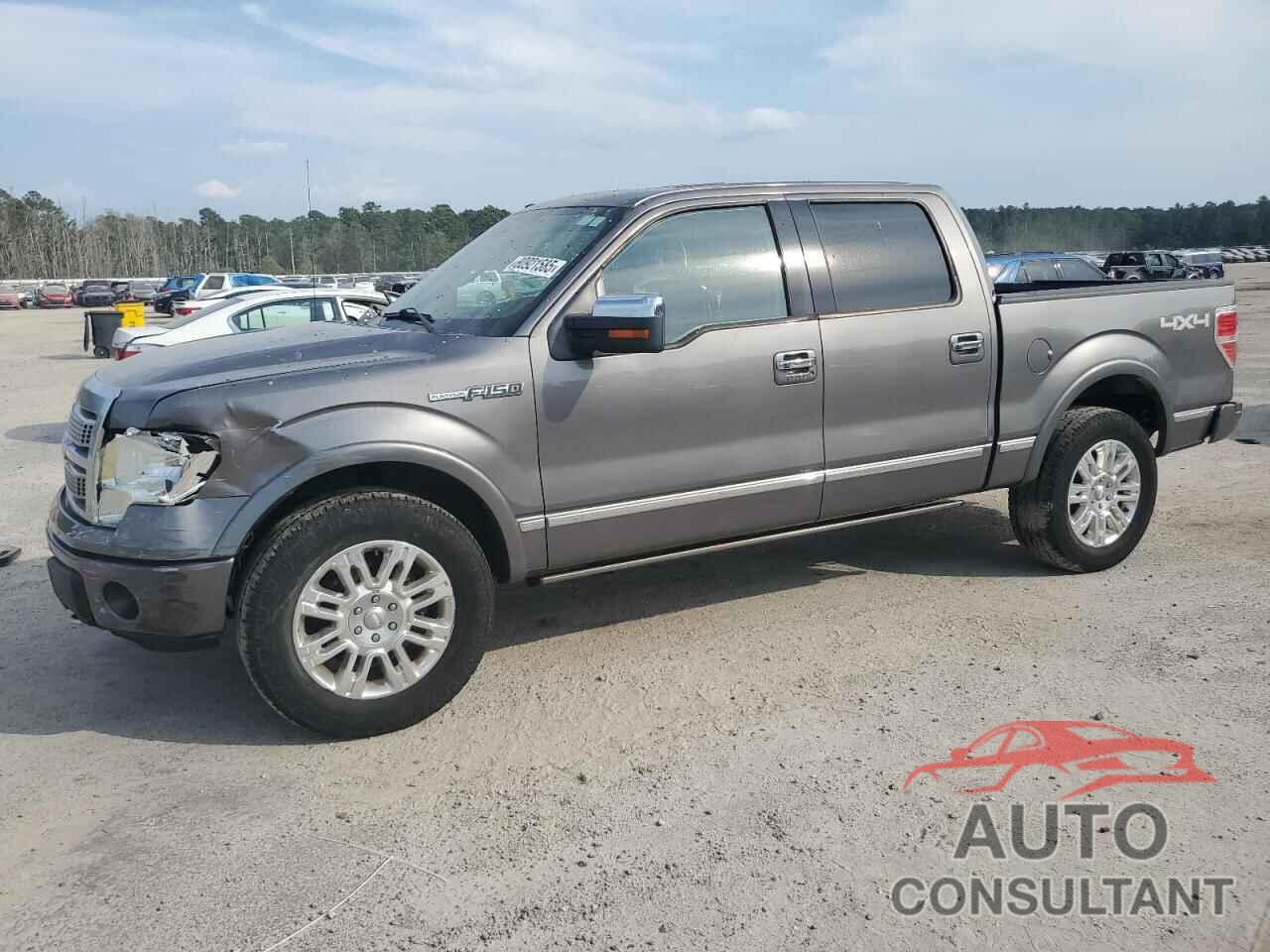 FORD F-150 2010 - 1FTFW1EV2AFA28061