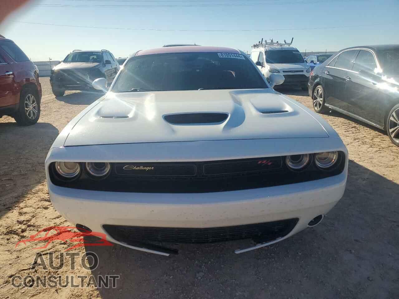 DODGE CHALLENGER 2019 - 2C3CDZFJXKH687934